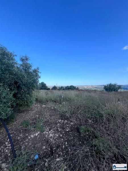 PHOTO-2025-07-09-11-42-40 (20).jpg